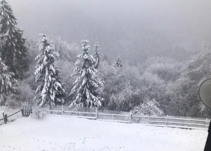 Appartement Piero E Afra *