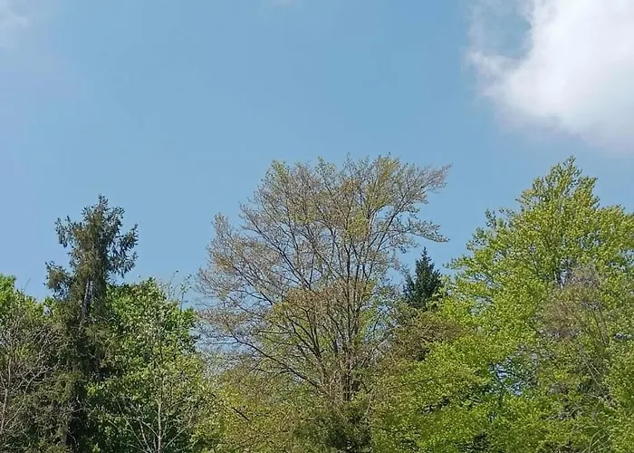 Piero E Afra Appartement